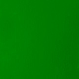 5pu57n45ht4pddef84ajr5kt5u-12421_Liquitex_Basics_Acrylic_Paint_Light_Green_118ml_Swatch_1.jpg