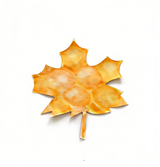 4fptn2g8kp5r521egnhejgqf6e-14616-Bertie-Colour-Diffusing-Leaves-20cm-48pc-4.png