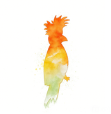 te7jc6v7r56rh91k6879anfd6q-14618-Bertie-Colour-Diffusing-Australian-Animals-25cm-60pc-3.png