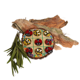 sbqs3psogd7nf4tj46cjvbqo3p-14631-Natural-Wood-Slices-Large-18-20cm-5pc-craft-ladybug-bee-tic-tac-toe-2-canva.png