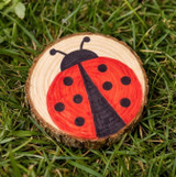 im71snoetl6vla5gnciapje745-14632-Natural-Wood-Slices-Medium-6-8cm-250g-SuppIm-lifestyle-ladybug-drawing.jpeg