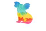 md3gfcelsh6gbc9viaoeuase7t-14618-Bertie-colour-diffusing-australian-animals-lifestyle-koala-rainbow-1.png