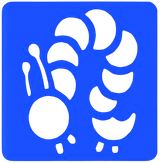 o79f1ojoed081ab0f9vgi7re7d-13498_Bertie_Bug_Stencils_caterpillar.png