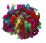 p32u74oiap31p9lu1mq2h9lm0o-15146-Bertie-Guinea-Fowl-Feathers-Assorted-Colours-25g-2-web.png