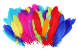 b9iqn3gfq94of1o2331ipqfq34-15149-Bertie-Quill-Feathers-Assorted-Colours-60g-3-web.png