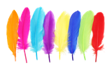 bf43g9f93t70n4n34o14co5d6g-15149-Bertie-Quill-Feathers-Assorted-Colours-60g-4-web.png