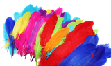 pc1jhns6qt6512e2up78no0n6p-15149-Bertie-Quill-Feathers-Assorted-Colours-60g-2.png
