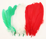 b0q022r9id07h1cu1s79es610o-15150-Bertie-Quill-Feathers-Christmas-Colours-30g-1.jpg