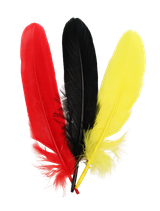 9955760qol5pp1494gdhmlng62-15151-Bertie-Quill-Feathers-Our-Country-30g-1-web.png