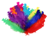2g5itqphk111l7ko6h6749eh4m-15152-Bertie-Fancy-Ruffle-Feathers-Assorted-Colours-50pc-2.png