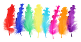 2h2a8fmsgt2a7ethhiq3jpv42e-15152-Bertie-Fancy-Ruffle-Feathers-Assorted-Colours-50pc-1-web.png