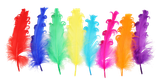 99c1bq53ul45f2m57619ribs75-15152-Bertie-Fancy-Ruffle-Feathers-Assorted-Colours-50pc-1.png