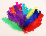 davpbv60fd4ef2moe12bv1ro4a-15152-Bertie-Fancy-Ruffle-Feathers-Assorted-Colours-50pc-2.jpg