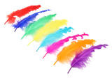 mgp7kce0313tp9ih1m6183ef6u-15152-Bertie-Fancy-Ruffle-Feathers-Assorted-Colours-50pc-3-web.png