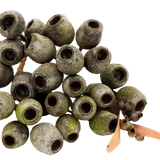 22ai18sdo90o16skvcdo567n6o-15230-Natural-Dried-Gumnuts-2-4cm-30pc-Stringybark-1.png