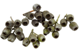 aijq1ook6h2j51ebosj4tfau15-15230-Natural-Dried-Gumnuts-2-4cm-30pc-Stringybark-2.png
