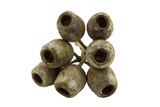 rvogat4c9h47je51r75dlu2l1q-15230-Natural-Dried-Gumnuts-2-4cm-30pc-Stringybark-3.jpg