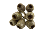 uvnkeeuv6h25t2102t76fjl77s-15230-Natural-Dried-Gumnuts-2-4cm-30pc-Stringybark-3.png