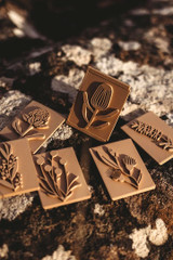 i0q79mkj6d3rjfkmcoe51l5h6p-15240-Australian-Native-Flowers-Eco-Stamp-Set-6pc-2.jpg