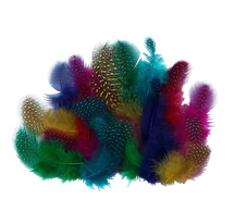 Guinea Feathers Assorted 2g