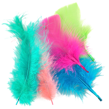 Quill Feathers Assorted 6g