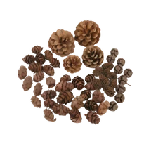 Wood Natural Asst Cones 500g - Default Image
