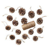 Wood Natural Asst Cones 500g - Product Image 2