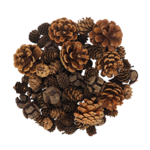 Wood Natural Asst Cones 500g - Default Image
