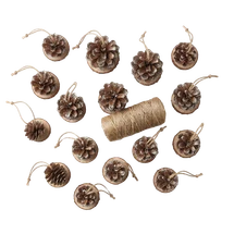 Wood Natural Asst Cones 500g - Product Image 2