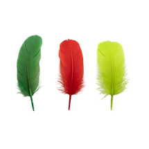 Feathers Christmas Asst 35g - Product Image 2