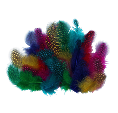 Guinea Feathers Assorted 2g