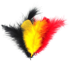 Feathers Our Country 10g