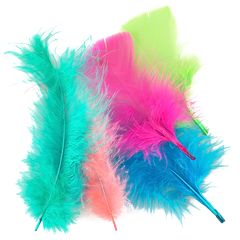 Quill Feathers Assorted 6g