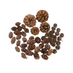 Wood Natural Asst Cones 500g - Default Image