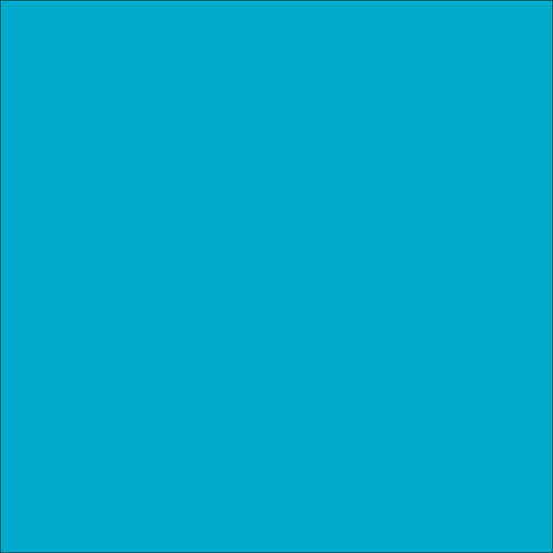 m1v4smtdrt0g312s2kh9assl5b-12320_Talens_Art_Creations_Indoor_Outdoor_Paint_Turquoise_Blue_250ml_Swatch_1.jpg