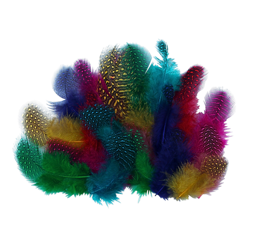 vutjl1g8556431vsnmthuhvt6c-13619_Guinea_Feathers_Assorted_25g.png