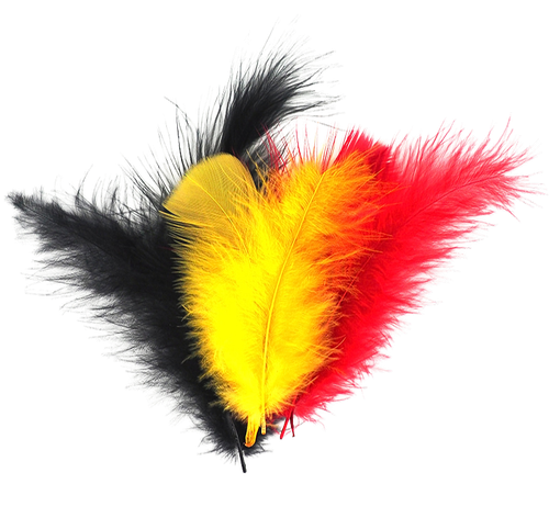 1fn1309lj536f0uhm6jm8m1b26-13620_Feathers_Our_Country_25g.png