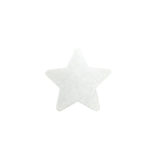 3ug399se697u9ecnbhhe2aqf2f-14820-Bertie-Magnetic-Canvas-Star-15cm-10pc-3.png