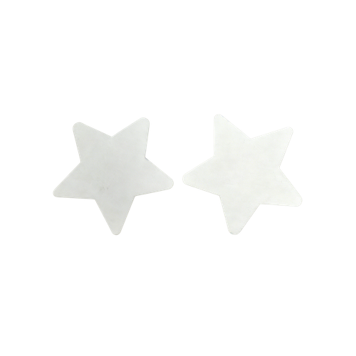 s548sm1k8t2on7i126abkvgq3g-14820-Bertie-Magnetic-Canvas-Star-15cm-10pc-1.png