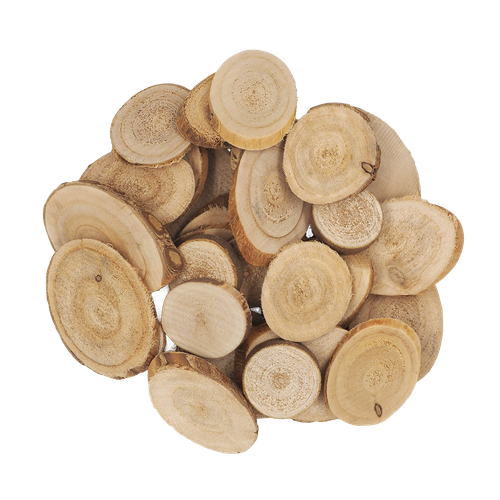 l7fncfpvq16f59v41110tlsi7c-14863-Wood-Slices-Assorted-500g-Ribtex-1-Web.png