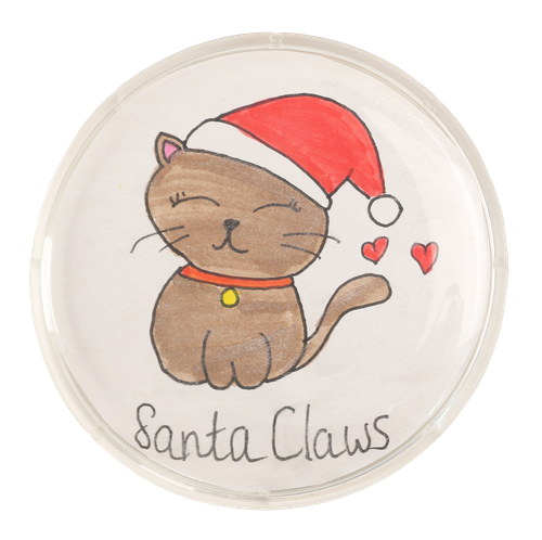 1ife9f0of92ld65mcb70tro15d-15026-Bertie-DIY-Acrylic-Button-Badges-24pc-1.png