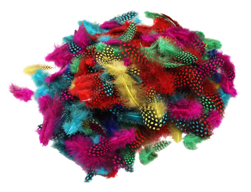 3psh521n6918535ou4u5kjut2d-15146-Bertie-Guinea-Fowl-Feathers-Assorted-Colours-25g-3-web.png