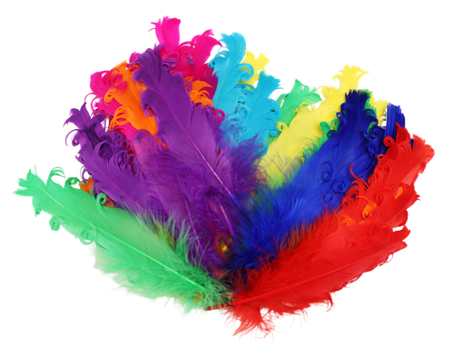 2g5itqphk111l7ko6h6749eh4m-15152-Bertie-Fancy-Ruffle-Feathers-Assorted-Colours-50pc-2.png