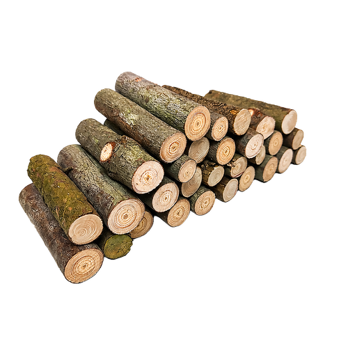 u1gfvaso9h0f9atg45gl9igm50-15220-Wood-Branch-Lengths-10cm-30pc-Stringybark-1-Web.png
