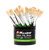 1bv07i2u0l6e5btfj4jv8j747c-12639_Micador_Paint_Brush_Class_Set_Assorted_30pc_1.png