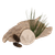 ps8fcvmid15ah5l6thd4hvb229-13044-13043-13042-No-fire-air-dry-clay-texture-craft-pinecones-lifestyle-bark-pine-1.png