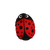 o9fs20mfg94k3ehllijkabvk3g-14318-13170-14219-13535-13532-13529-Felt-craft-animals-ladybug-de-1.png
