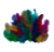 vutjl1g8556431vsnmthuhvt6c-13619_Guinea_Feathers_Assorted_25g.png