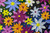 uma4j2cg7d3150cq78v3ju6d3j-11385_Enviro_Paint_Lifestyle_1.jpg