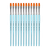 ifso0hjtc56ub2c4ivn0uo851t-14257-Mont-Marte-Taklon-Brush-Flat-No.8-12pc-group.png